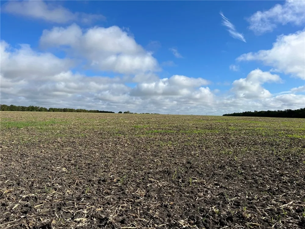 CR 117 ROAD Rogers, TX 76569