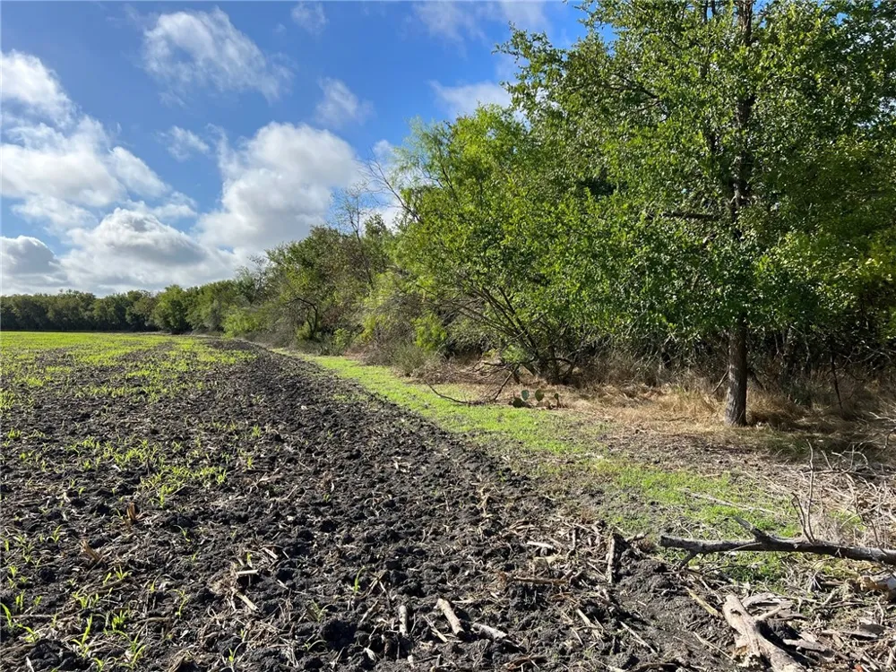CR 117 ROAD Rogers, TX 76569