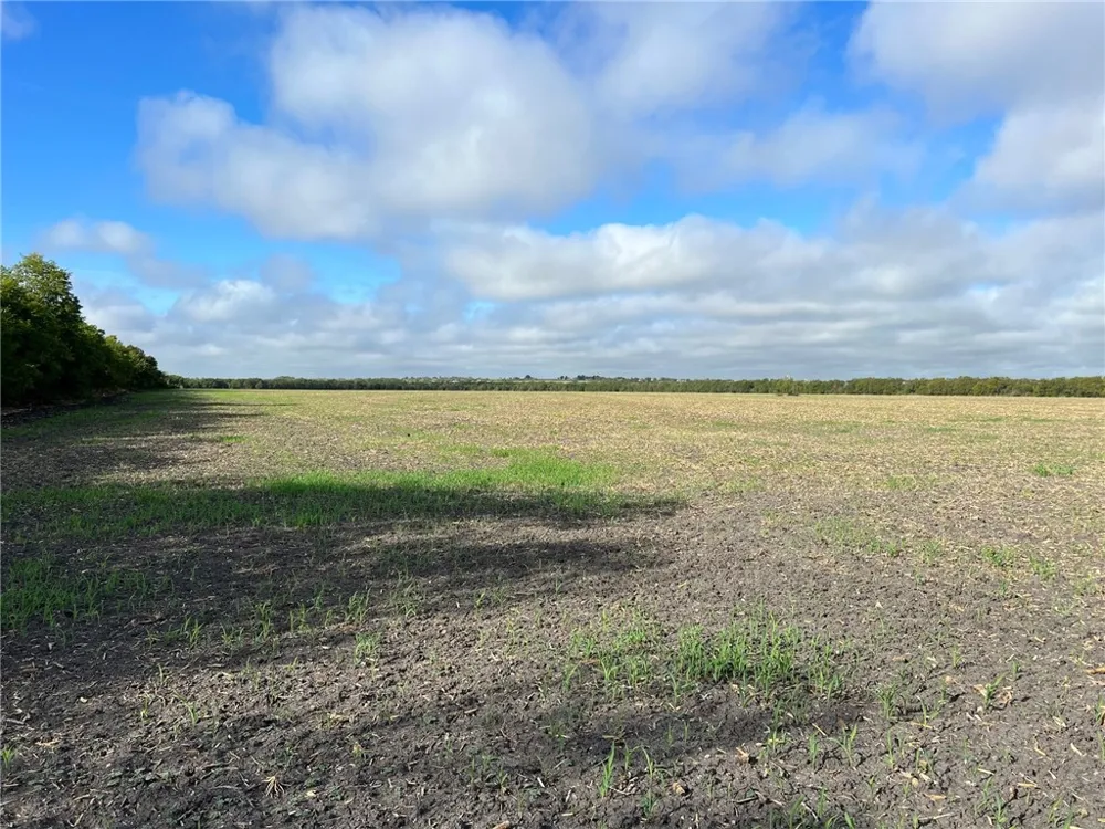 CR 117 ROAD Rogers, TX 76569
