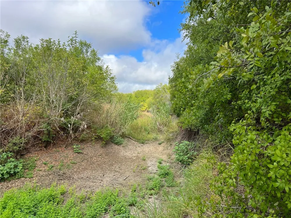 CR 117 ROAD Rogers, TX 76569