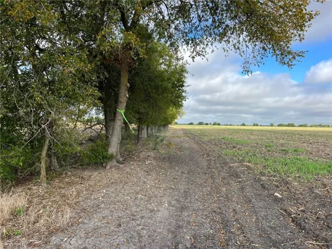 CR 117 ROAD