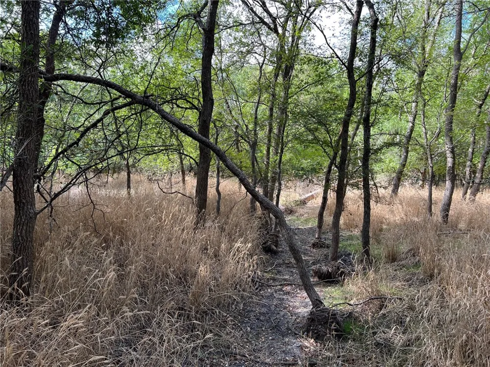 CR 117 ROAD Rogers, TX 76569