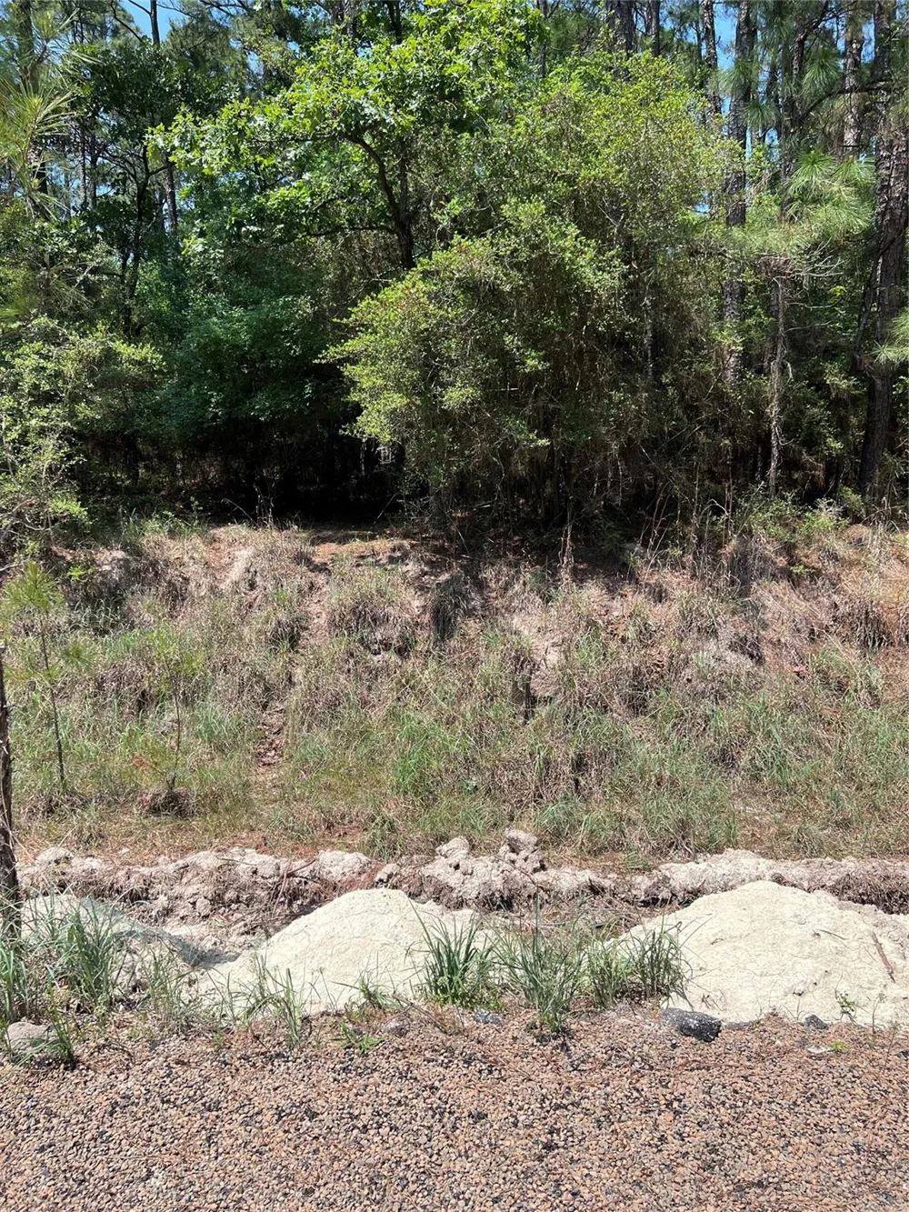 E Moonlight Drive Onalaska, TX 77360