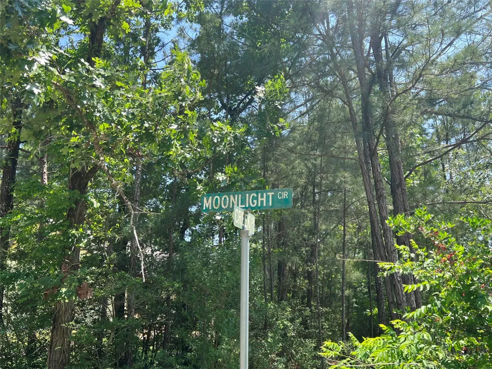 E Moonlight Drive Onalaska, TX 77360