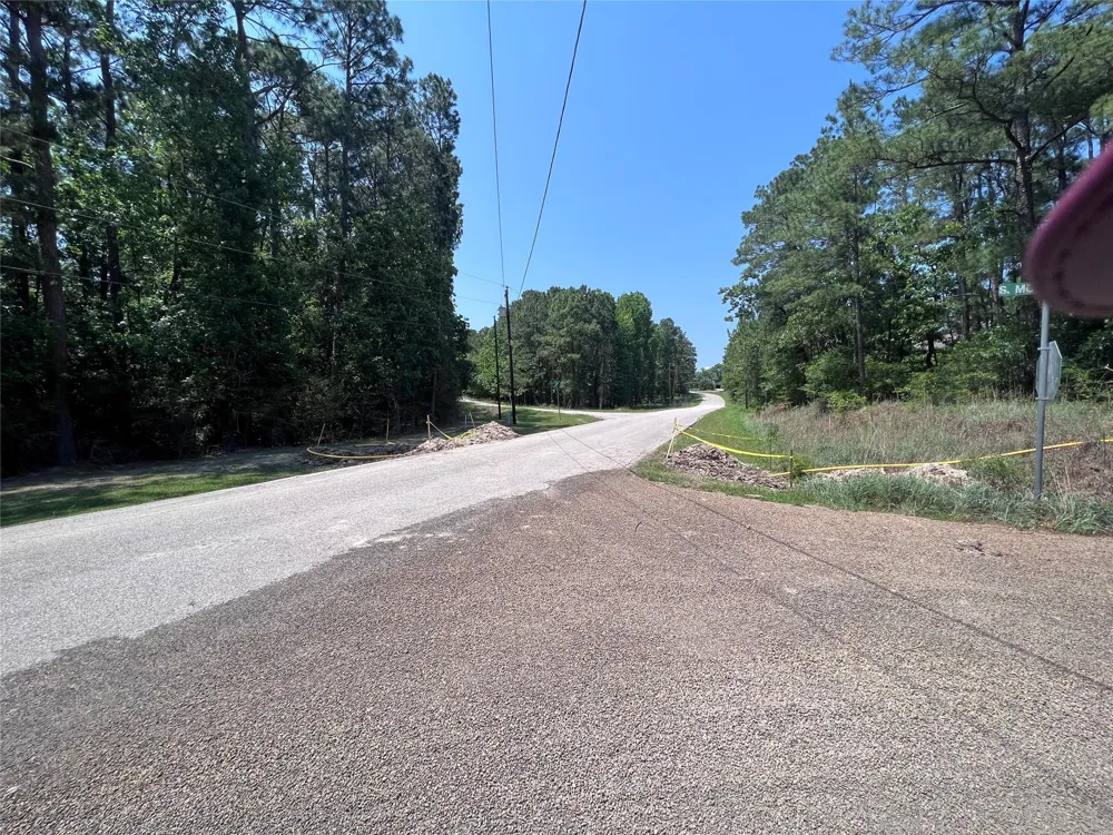 E Moonlight Drive Onalaska, TX 77360