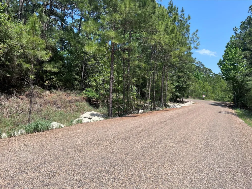 E Moonlight Drive Onalaska, TX 77360