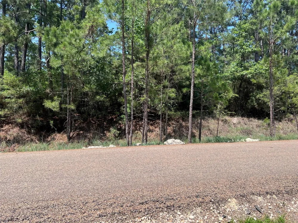 E Moonlight Drive Onalaska, TX 77360