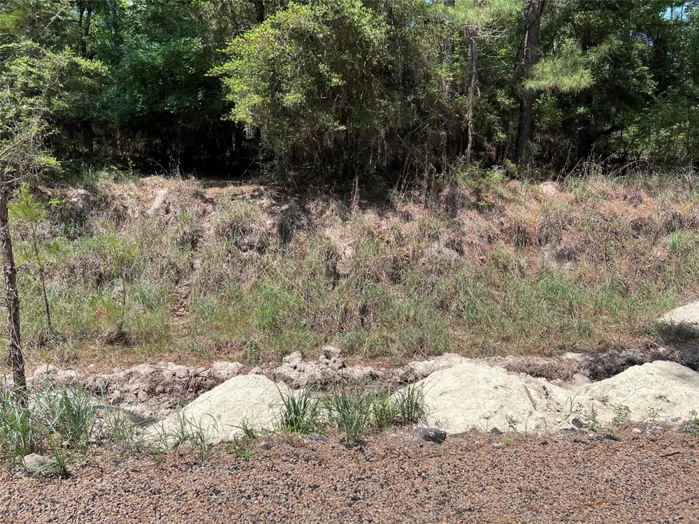 E Moonlight Drive Onalaska, TX 77360