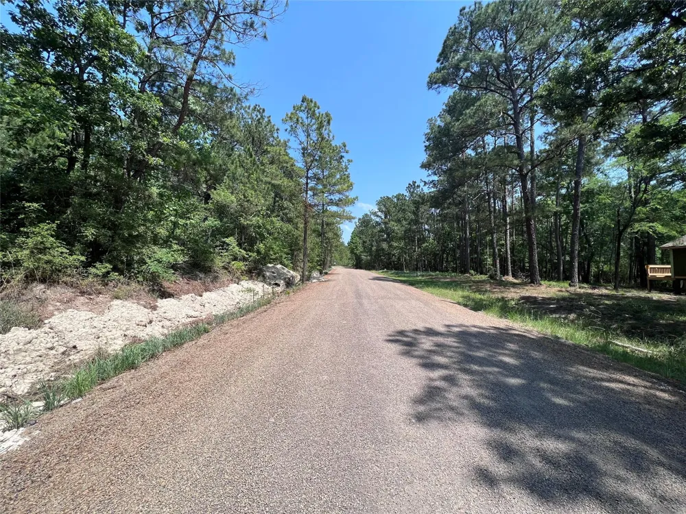 E Moonlight Drive Onalaska, TX 77360