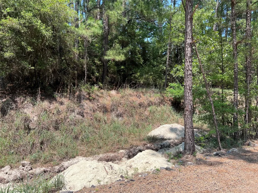 E Moonlight Drive Onalaska, TX 77360