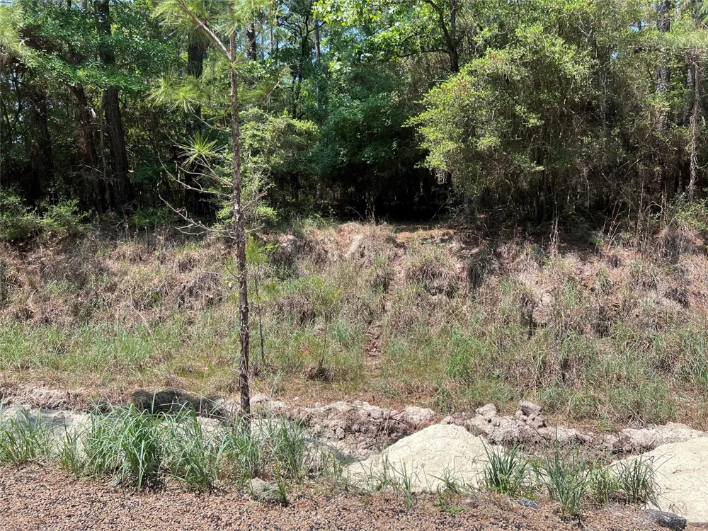 E Moonlight Drive Onalaska, TX 77360