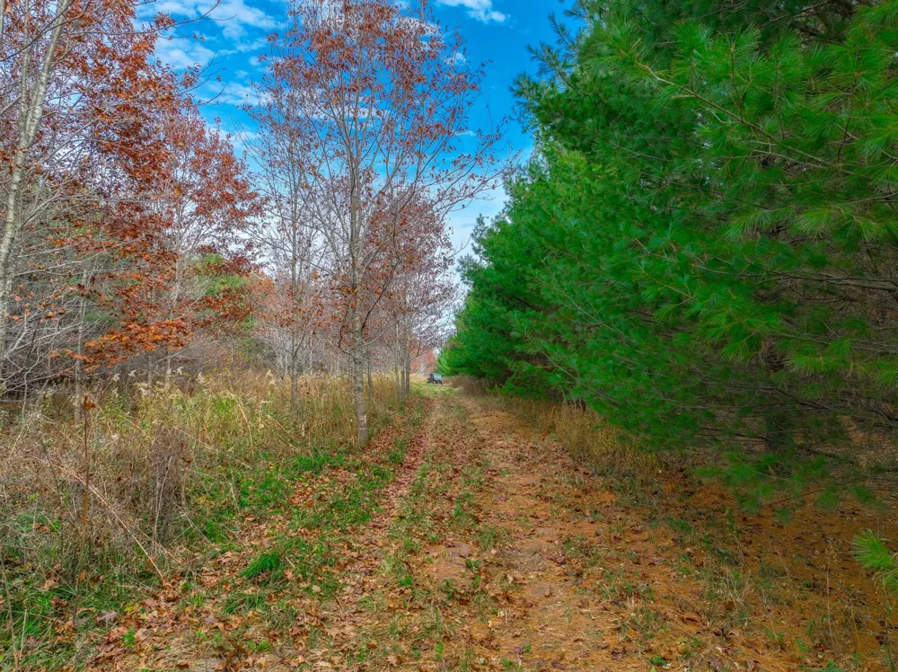 xxx Lot  #13 110th Avenue Hammond, WI 54015
