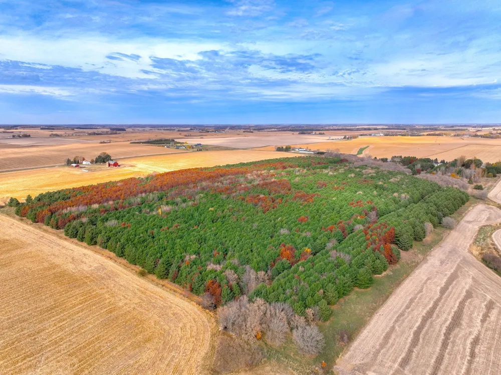 xxx Lot #4 110th Avenue Hammond, WI 54015