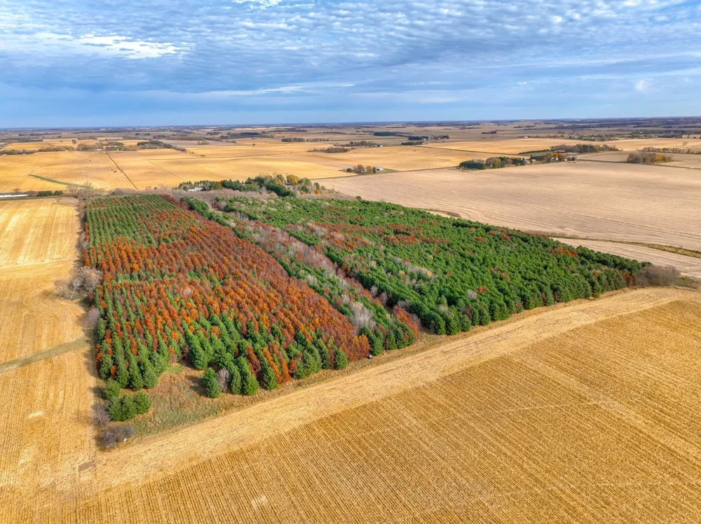 xxx Lot#15 110th Avenue Hammond, WI 54015