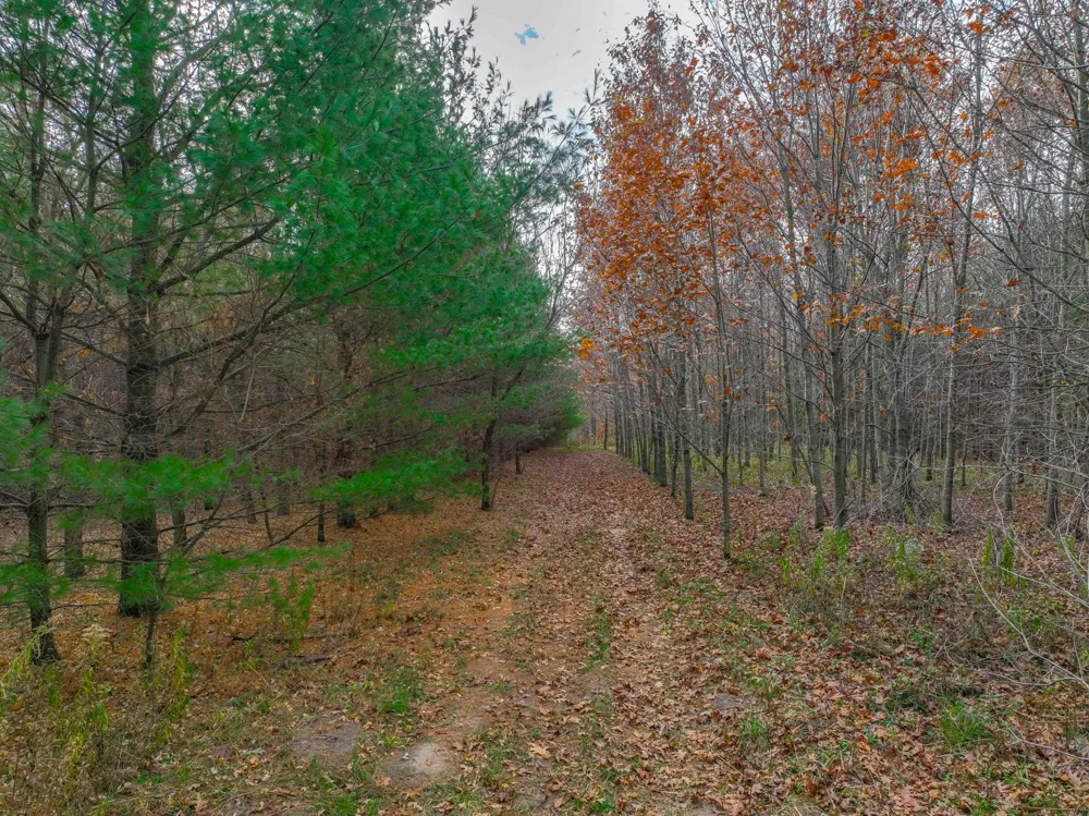 xxx Lot#17 110th Avenue Hammond, WI 54015