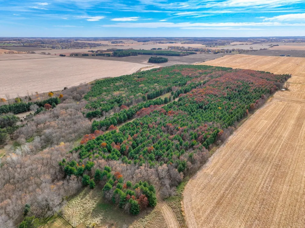 xxx Lot#18 110th Avenue Hammond, WI 54015
