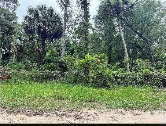 25040 E AVENUE B Paisley, FL 32767