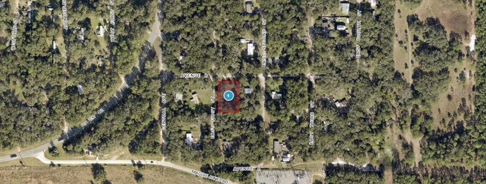 25040 E AVENUE B Paisley, FL 32767