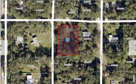25040 E AVENUE B Paisley, FL 32767