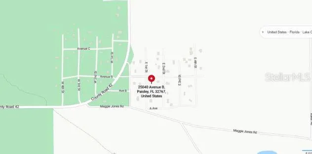 25040 E AVENUE B Paisley, FL 32767