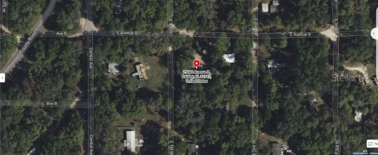 25040 E AVENUE B Paisley, FL 32767