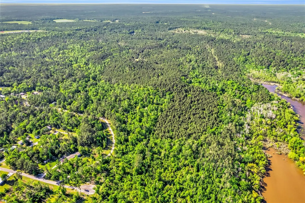 Pine Lane Onalaska, TX 77360