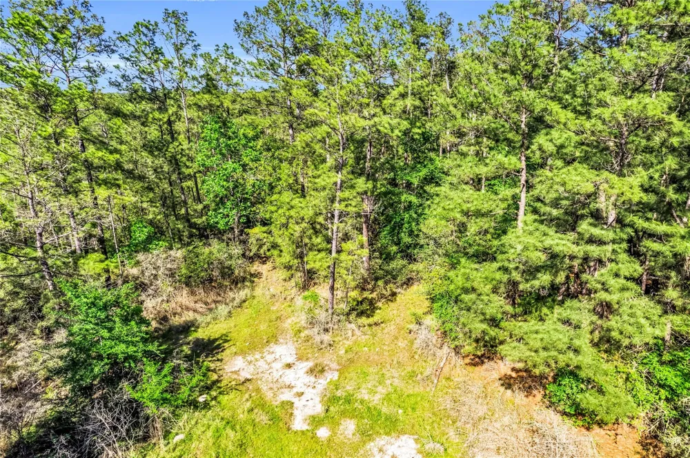 Pine Lane Onalaska, TX 77360