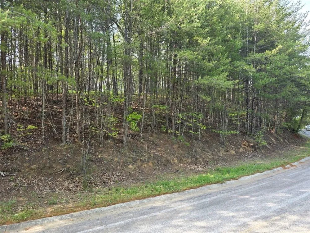0 Rosen Strasse Helen, GA 30545