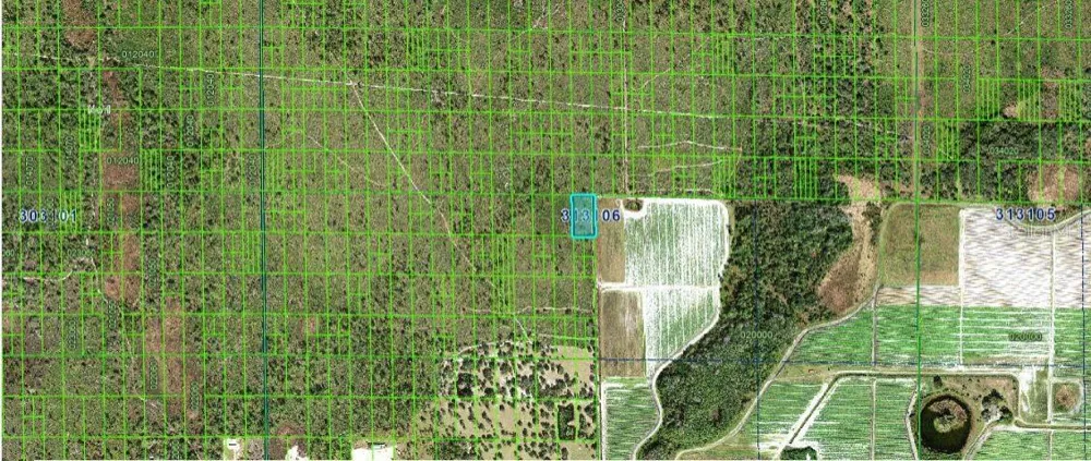GRAPE HAMMOCK RD Lake Wales, FL 33898
