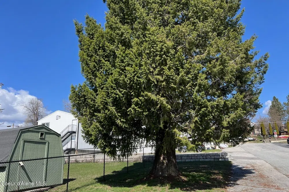 321 High Street Priest River, ID 83856