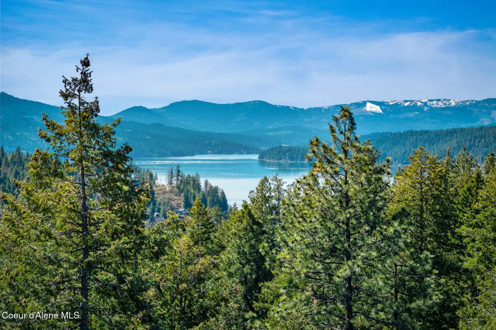 6339 S CORMORANT COURT Harrison, ID 83833