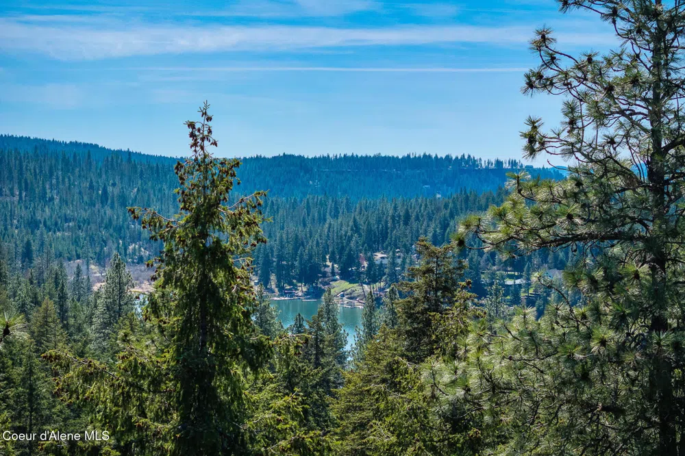 6339 S CORMORANT COURT Harrison, ID 83833