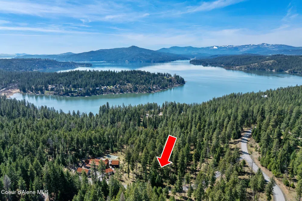 6339 S CORMORANT COURT Harrison, ID 83833