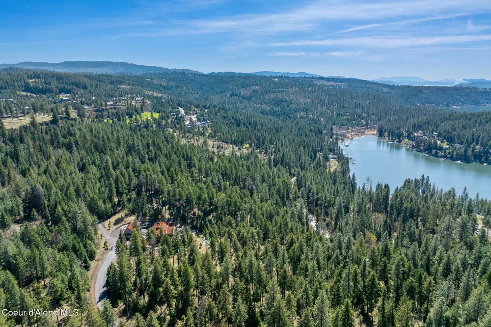 6339 S CORMORANT COURT Harrison, ID 83833