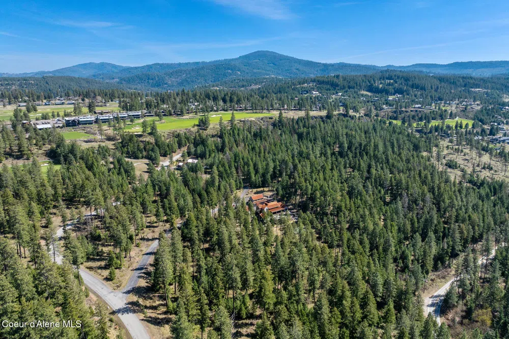 6339 S CORMORANT COURT Harrison, ID 83833