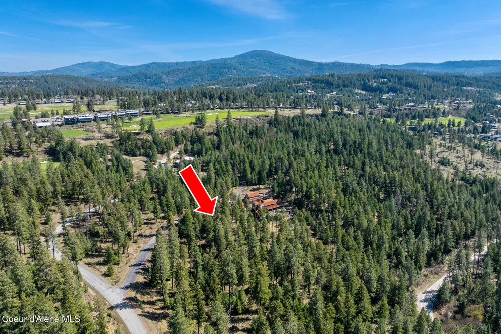6339 S CORMORANT COURT Harrison, ID 83833