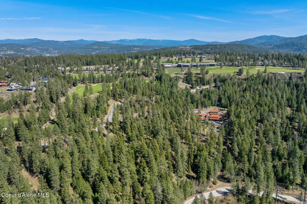 6339 S CORMORANT COURT Harrison, ID 83833