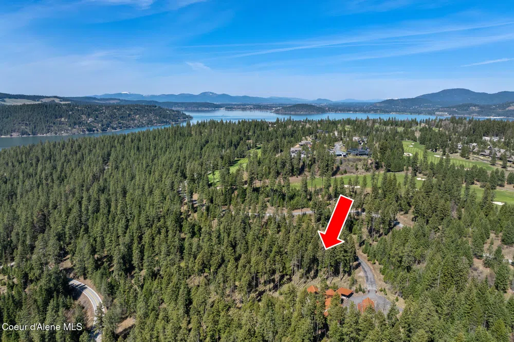 6339 S CORMORANT COURT Harrison, ID 83833