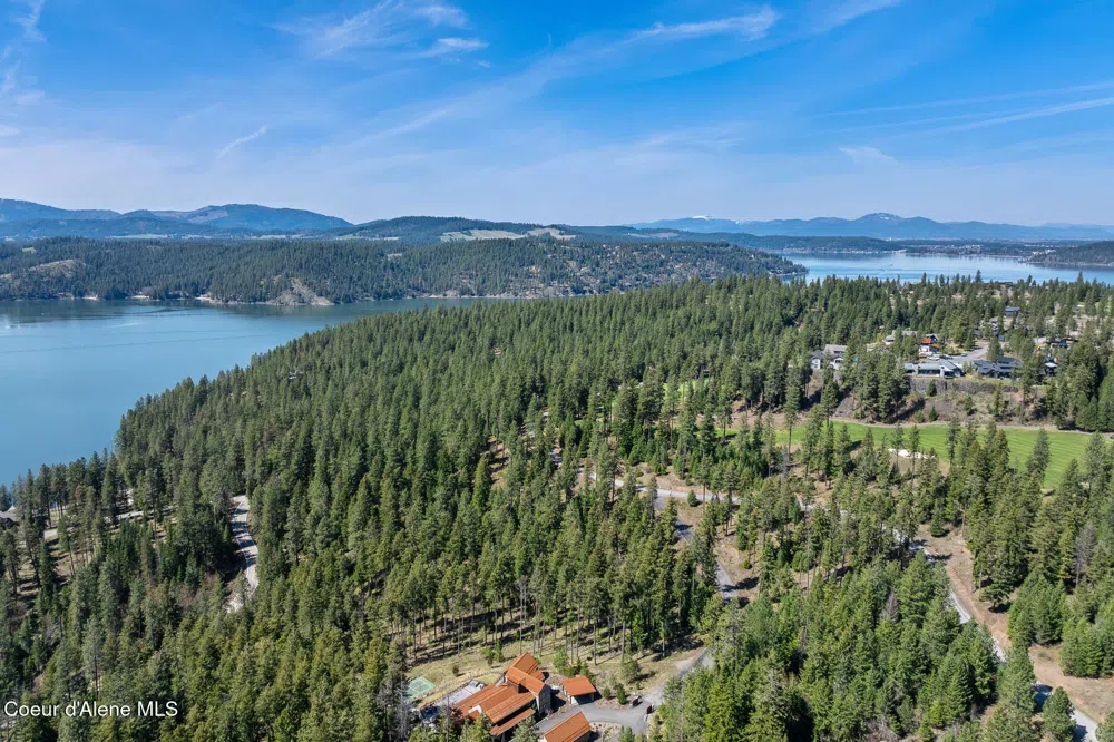 6339 S CORMORANT COURT Harrison, ID 83833