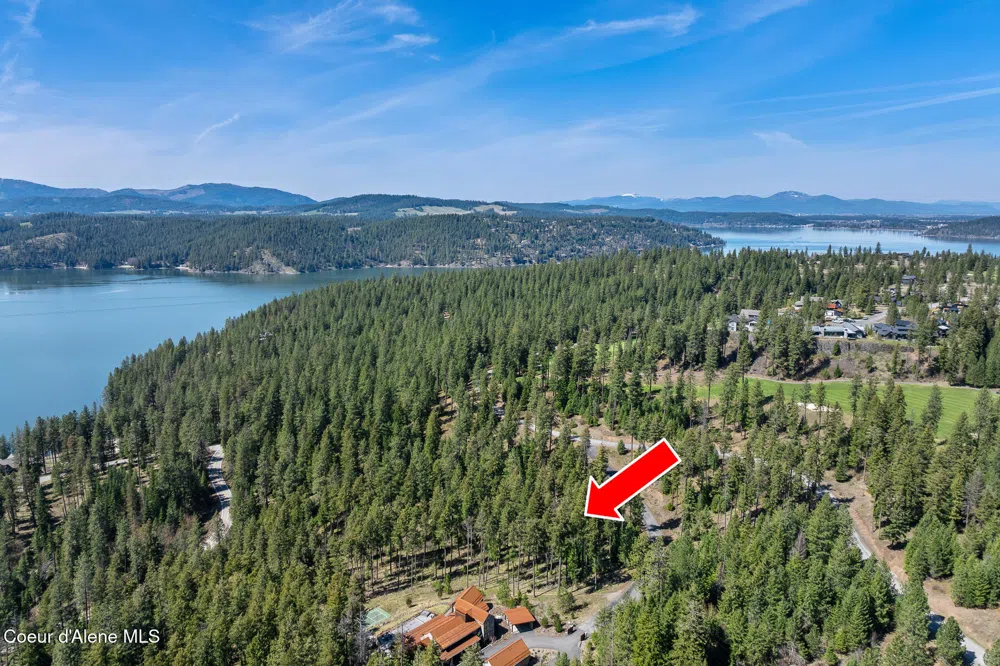 6339 S CORMORANT COURT Harrison, ID 83833