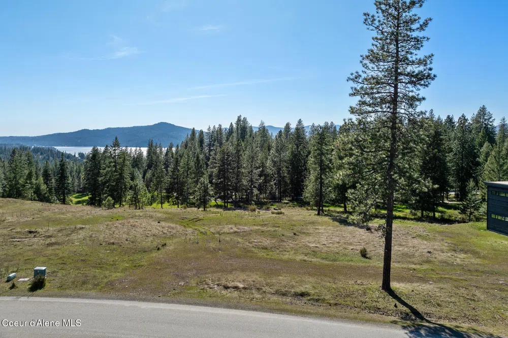 5991 S GOZZER ROAD Harrison, ID 83833