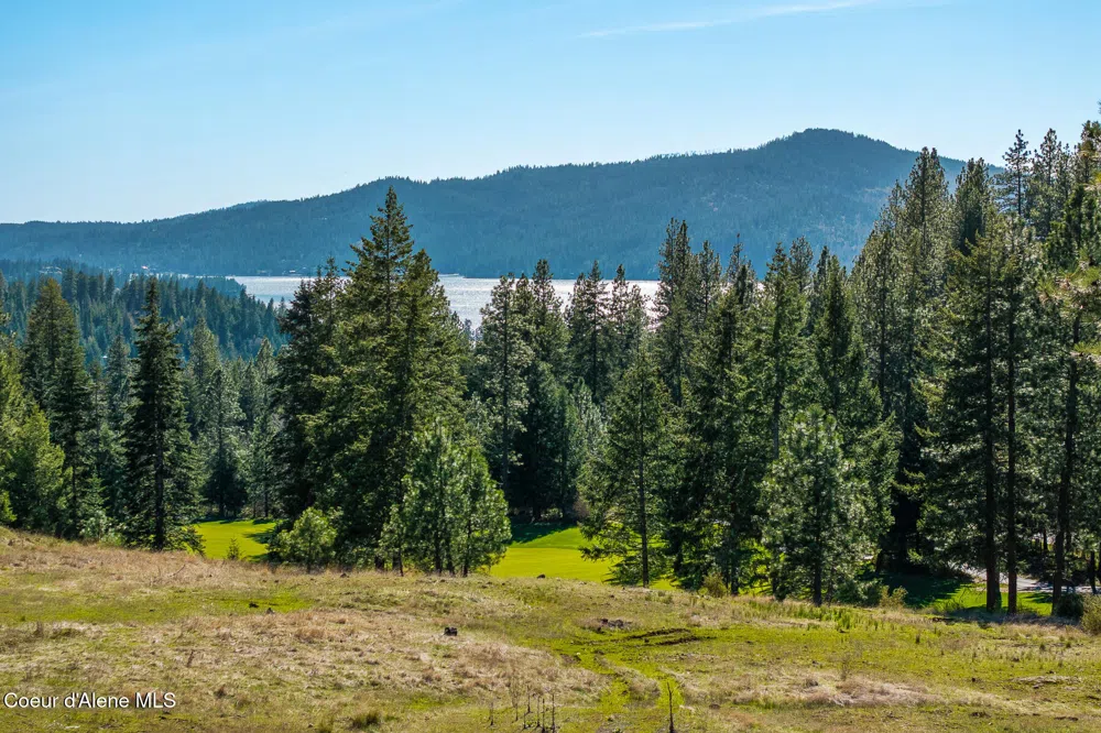 5991 S GOZZER ROAD Harrison, ID 83833