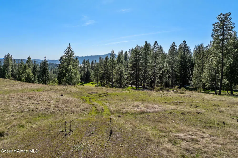 5991 S GOZZER ROAD Harrison, ID 83833