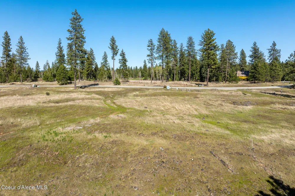 5991 S GOZZER ROAD Harrison, ID 83833