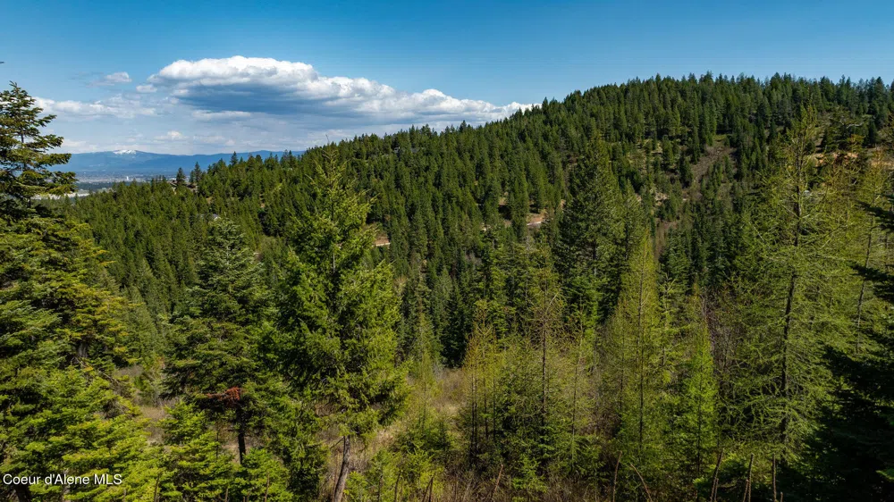 11817 W Garrett Court Post Falls, ID 83854