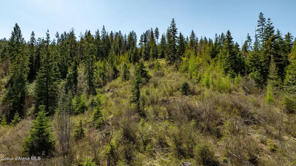 11817 W Garrett Court Post Falls, ID 83854