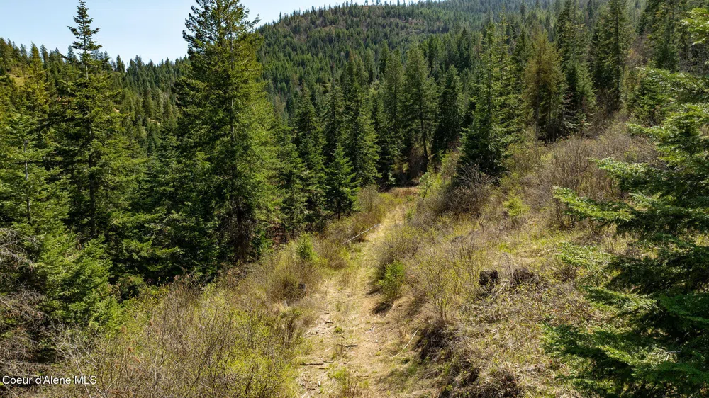 11817 W Garrett Court Post Falls, ID 83854