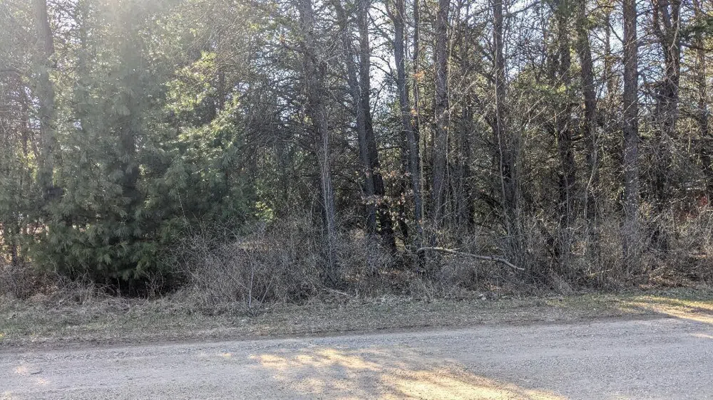Tenth Street Bear Lake, MI 49614