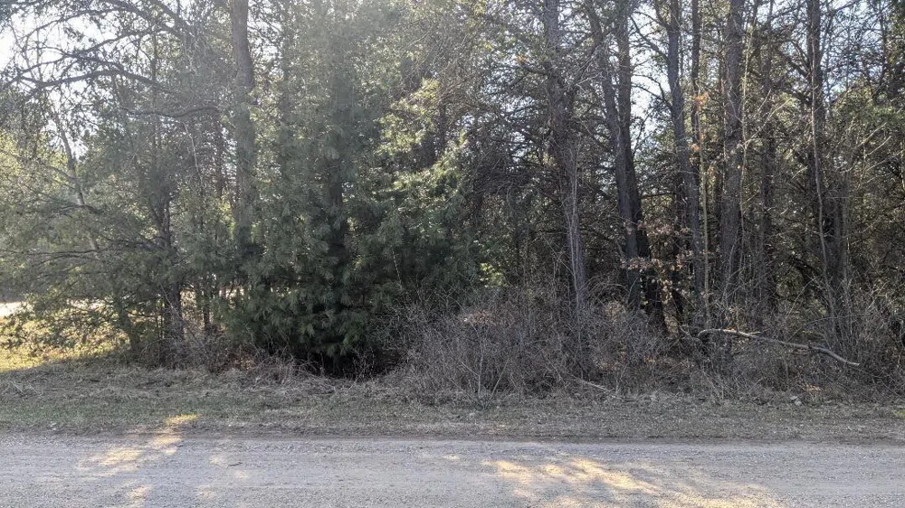 Tenth Street Bear Lake, MI 49614