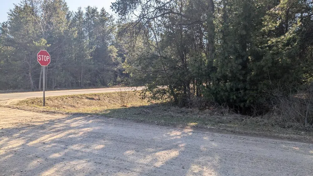 Tenth Street Bear Lake, MI 49614